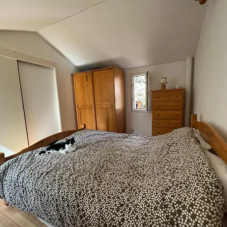 Maison Familiale Bord De Tatil Evi *